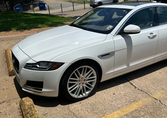 Enzo's Mobile Detailing Spa e
